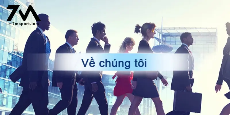 Về chúng tôi 7M