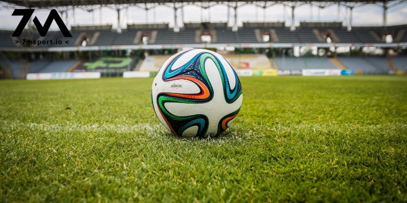 Bảng xếp hạng tại 7M là 1 nguồn thông tin hữu ích cho người theo dõi