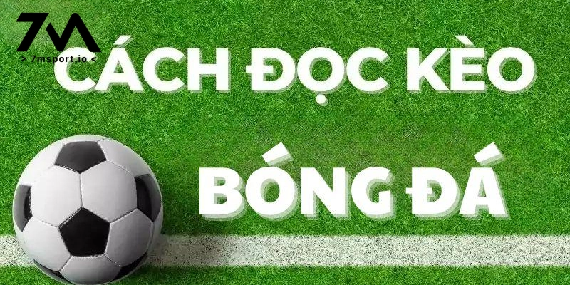 Cách đọc kèo bóng đá chi tiết nhất