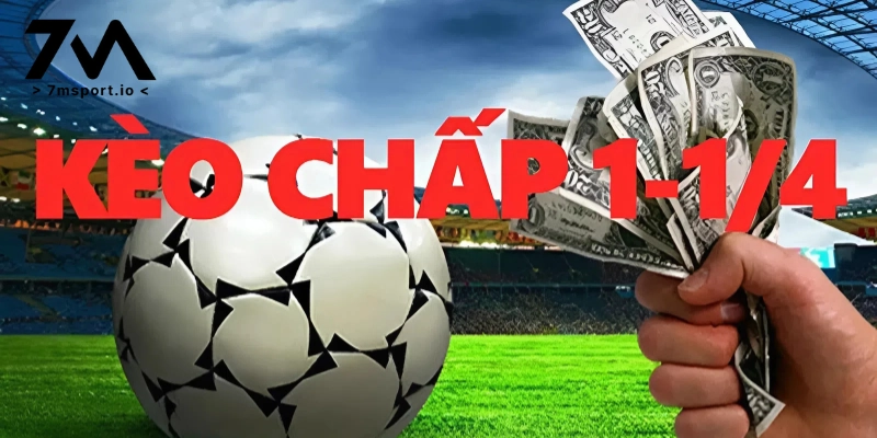 Kèo chấp 1 1/4 là gì?