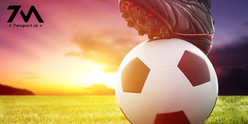 Lịch World Cup chuẩn chỉnh, dễ theo dõi theo múi giờ Việt Nam