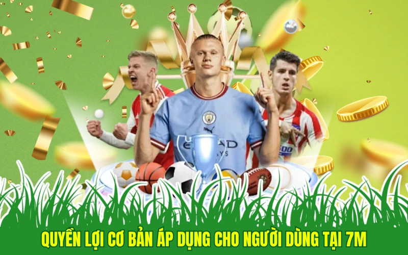 Lưu ý và miễn trừ trách nhiệm